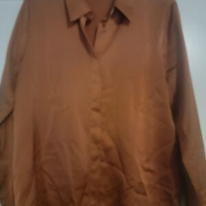 Ann Taylor Factory Silky Brown Blouse